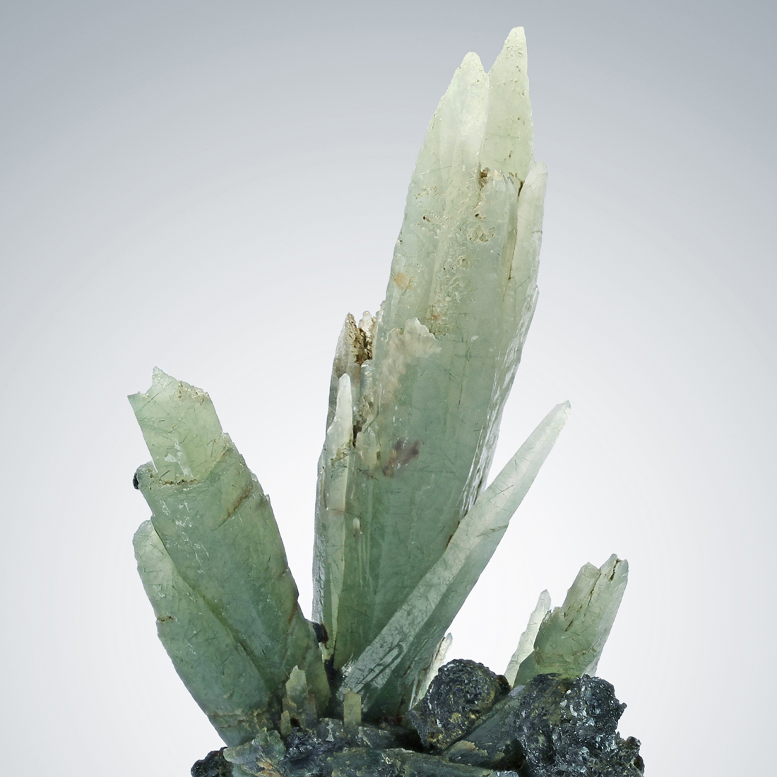 Prase With Hematite