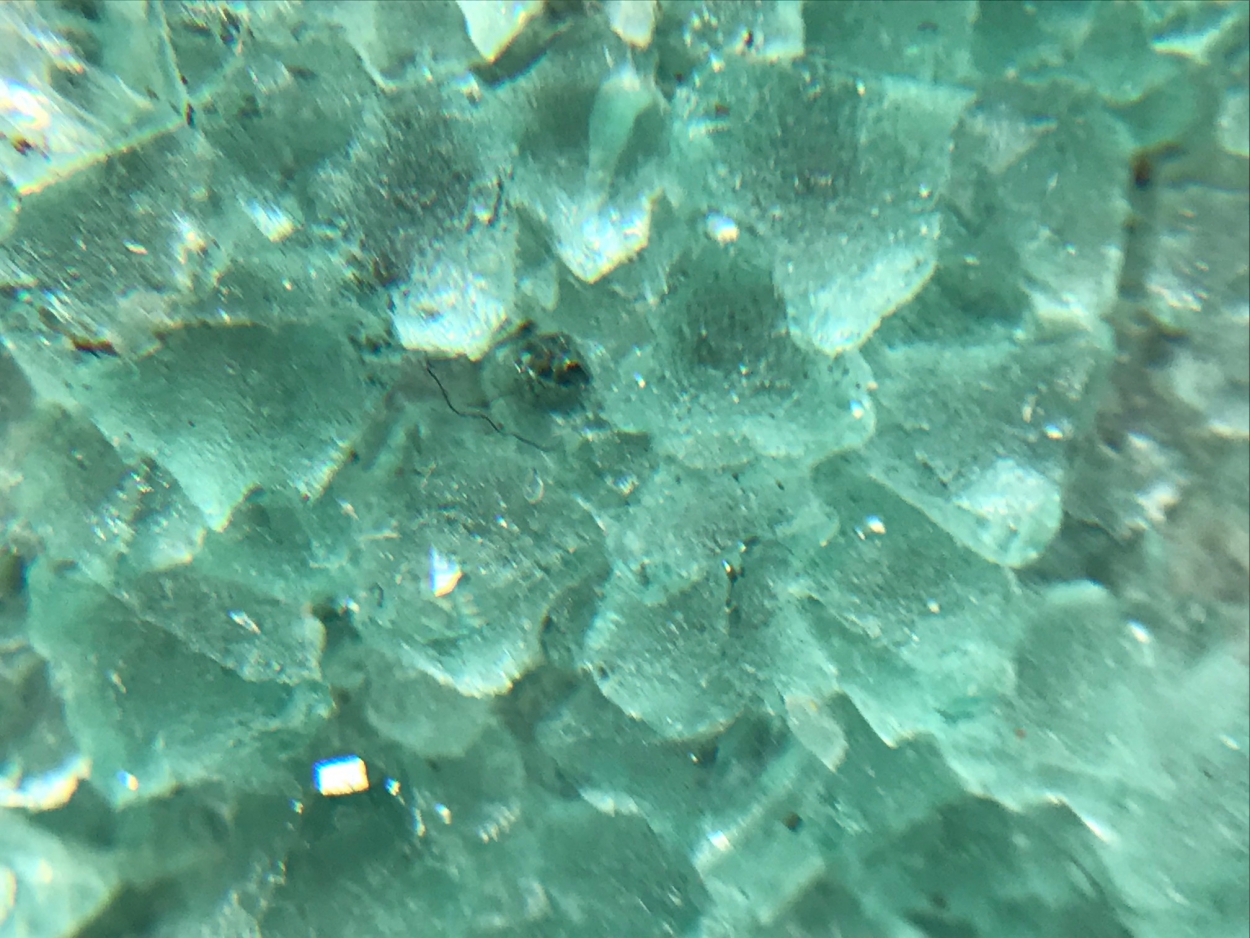 Fluorite