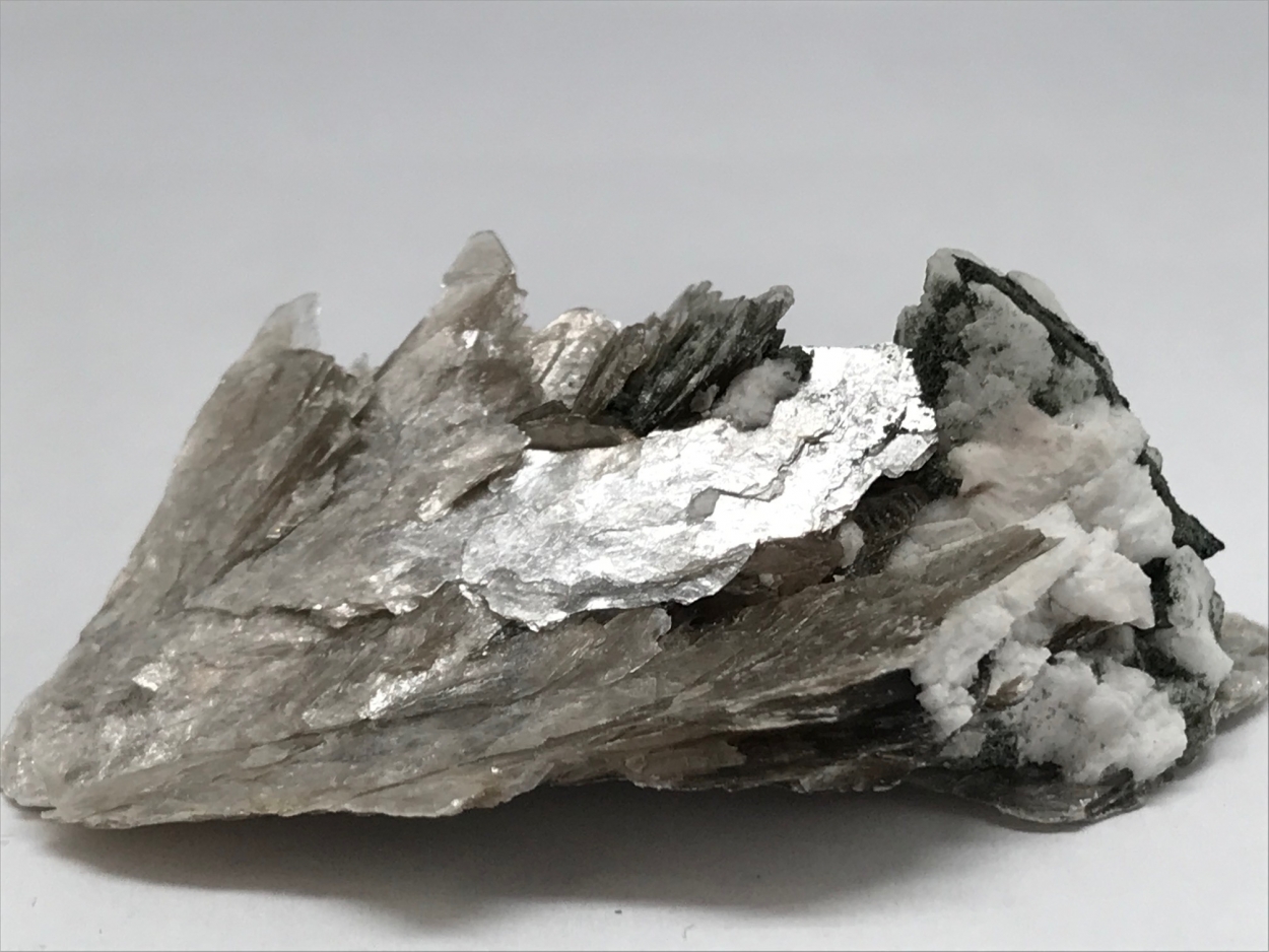 Muscovite