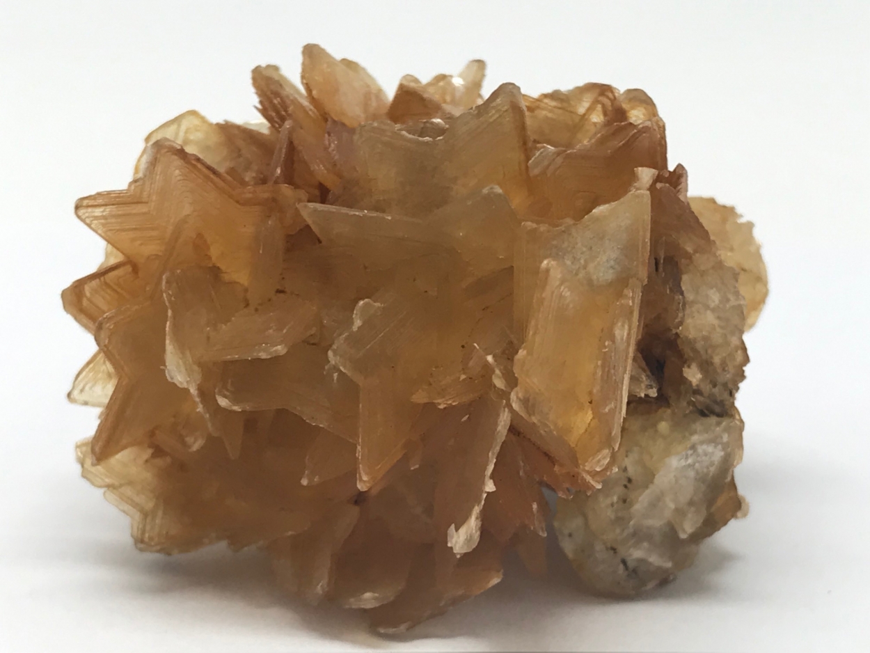 Muscovite