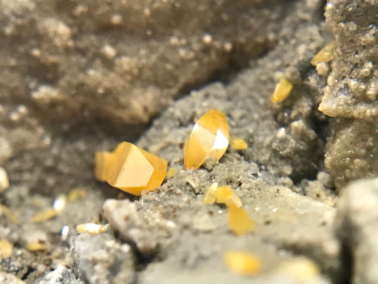 Wulfenite