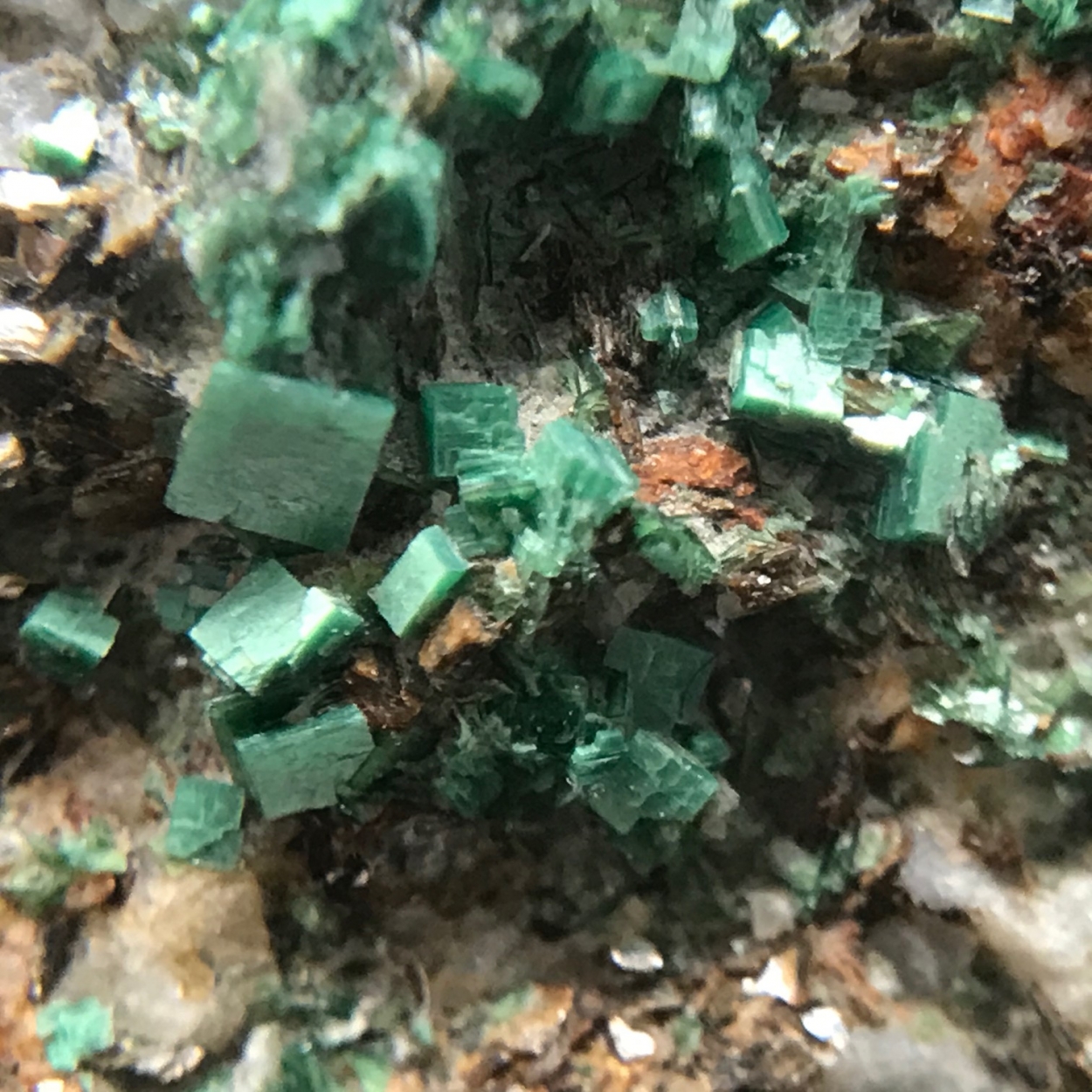 Metatorbernite