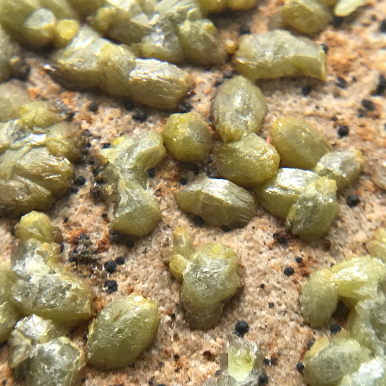 Pyromorphite