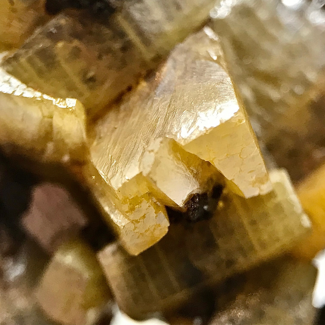 Wulfenite