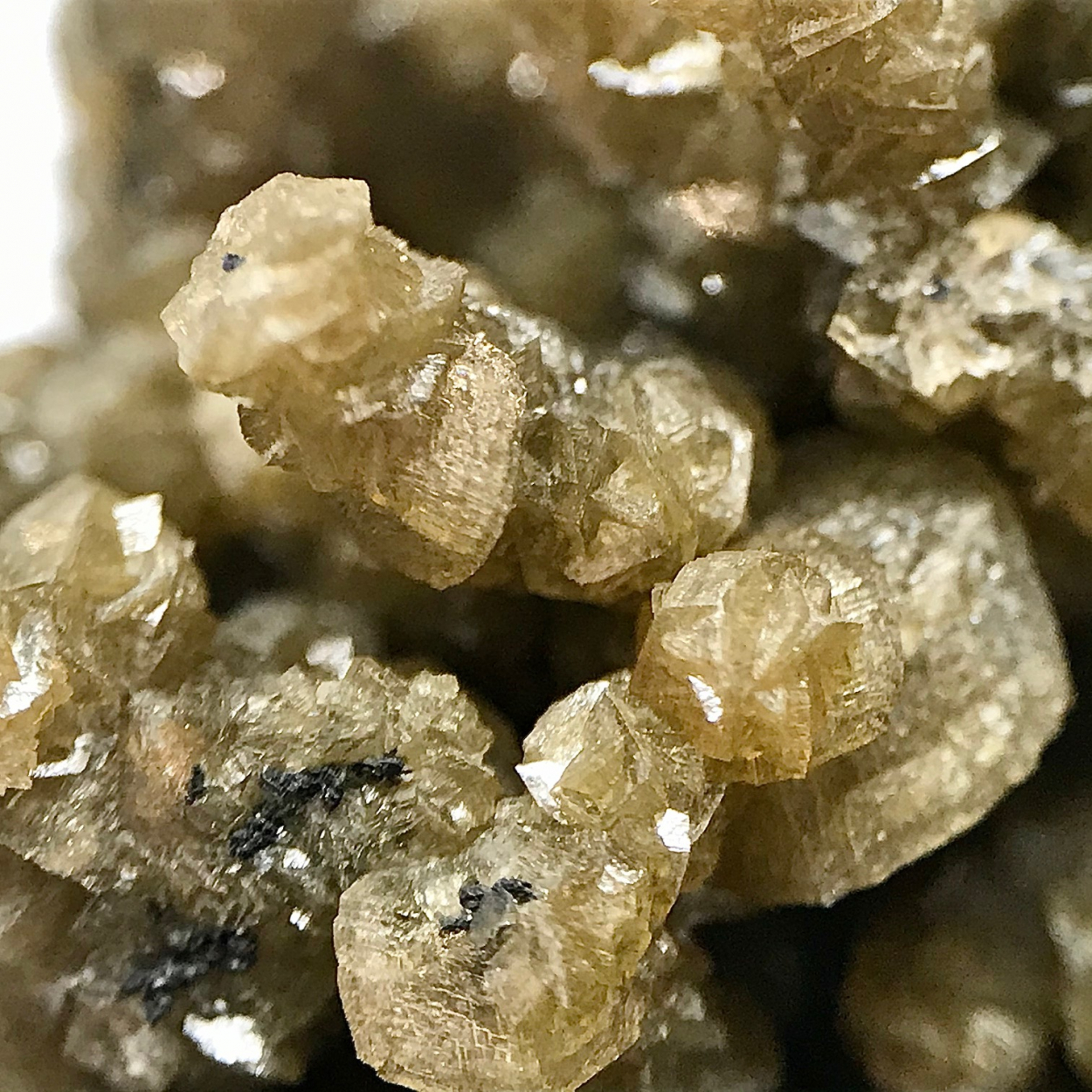 Siderite