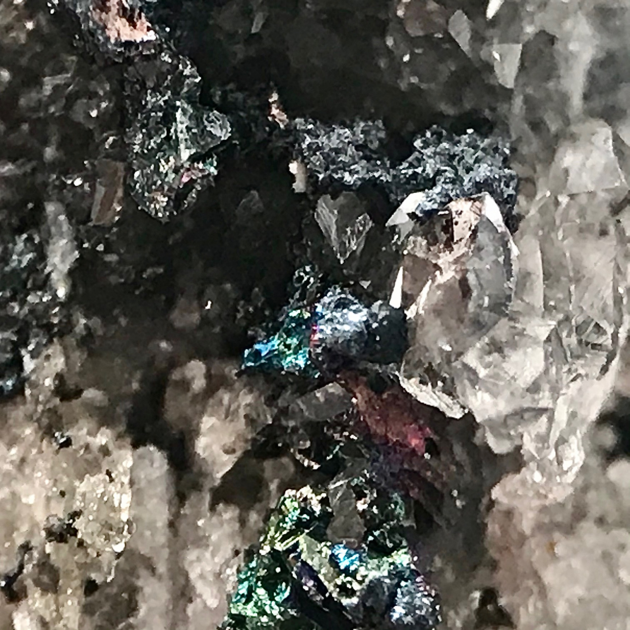 Bornite