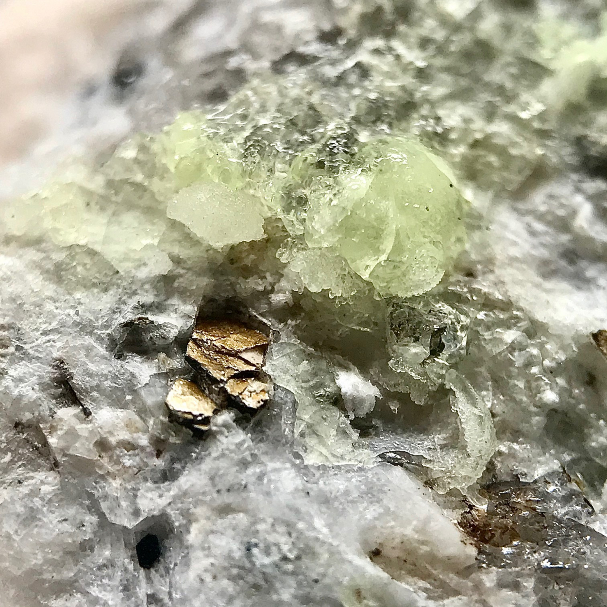 Autunite