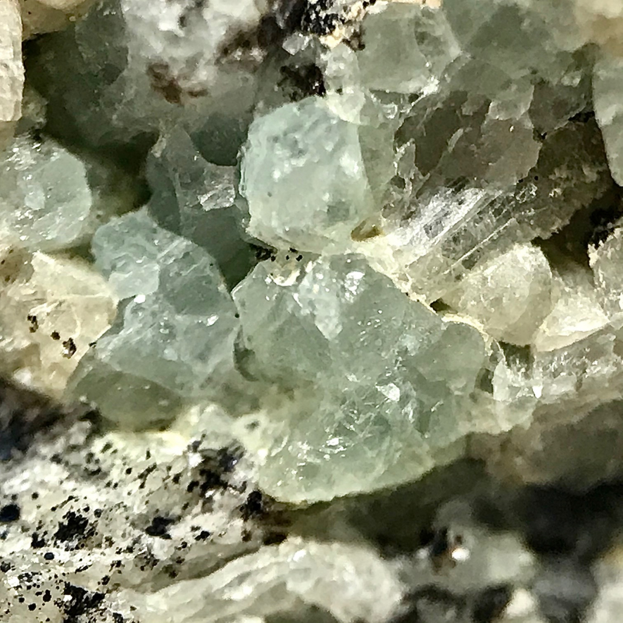 Fluorapatite