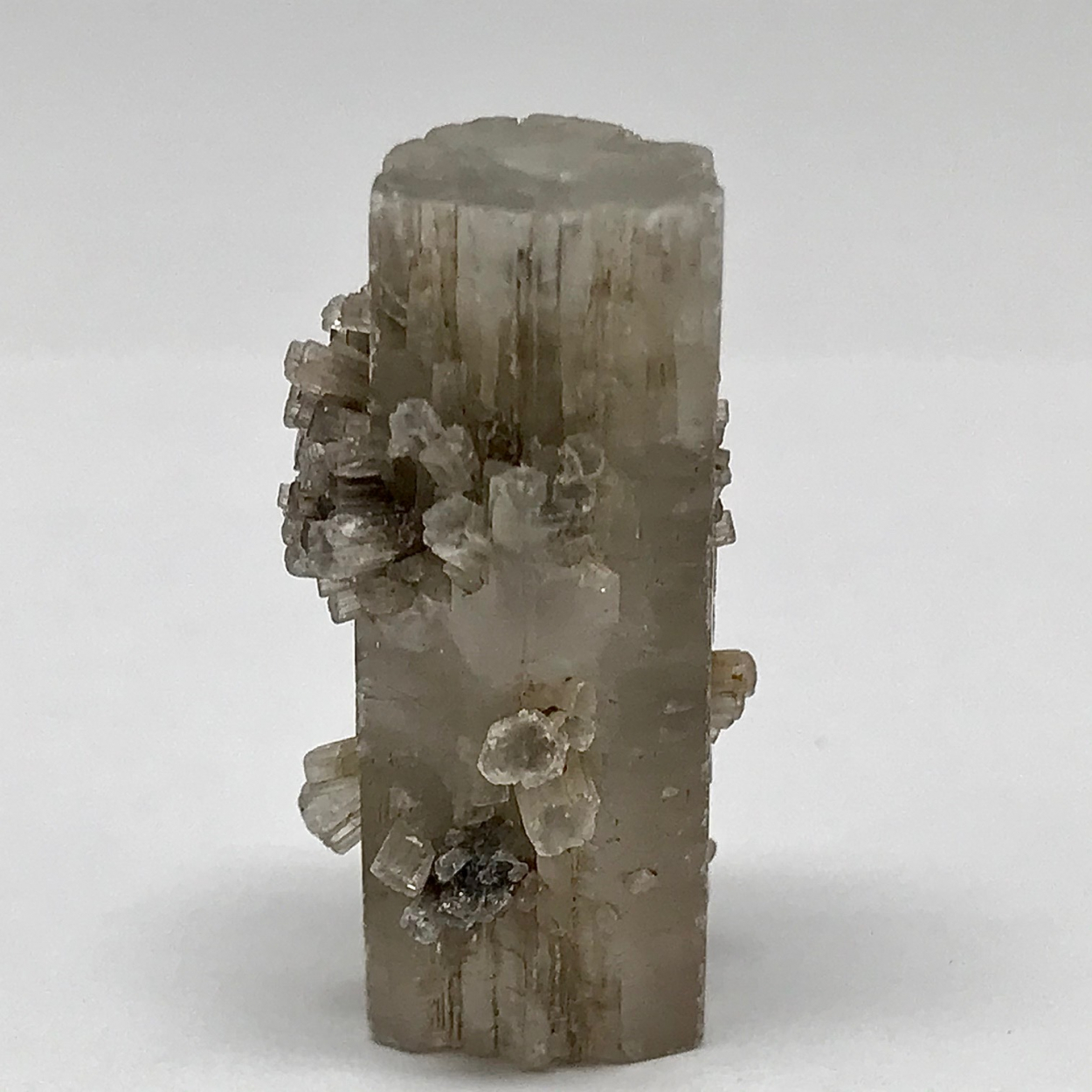 Aragonite