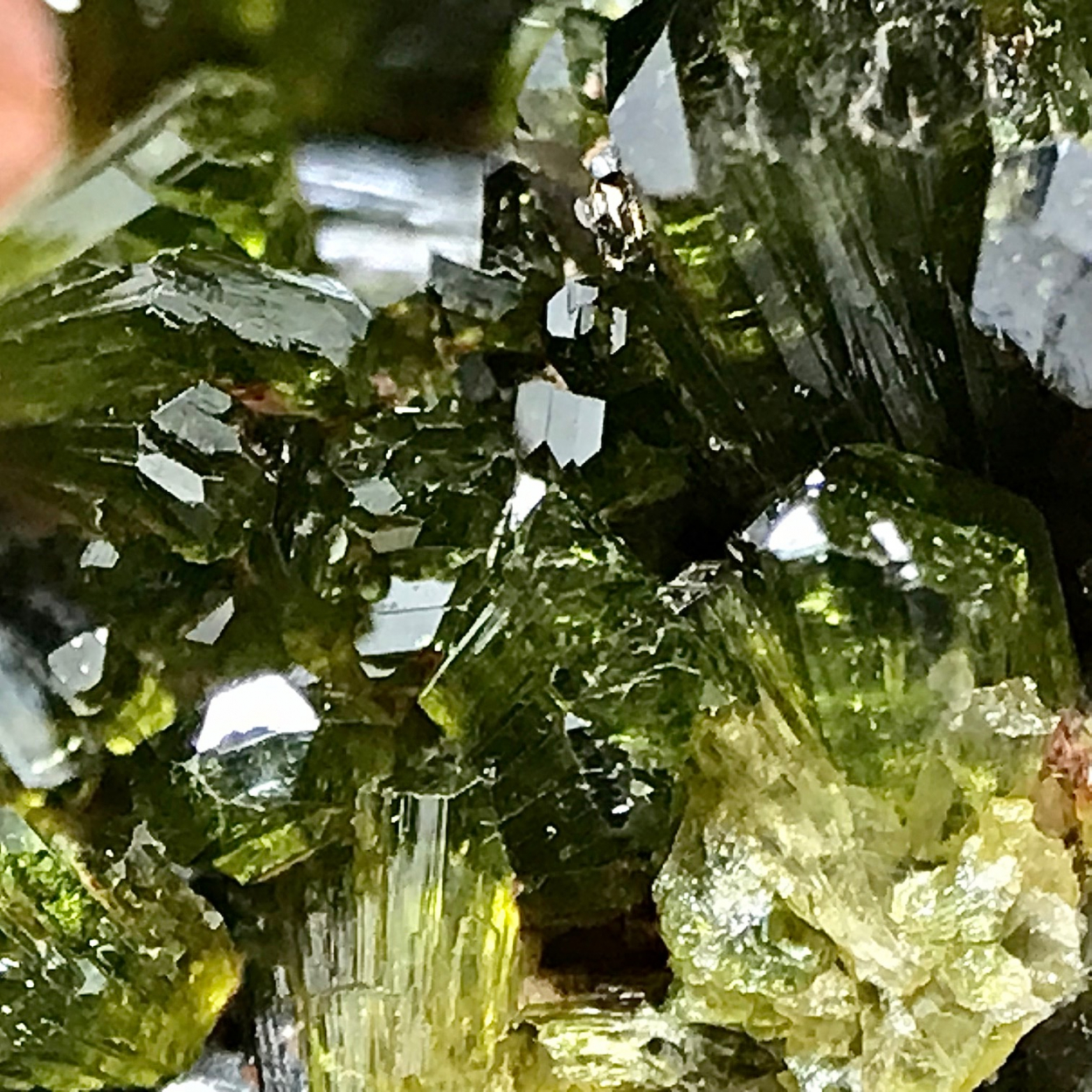 Epidote