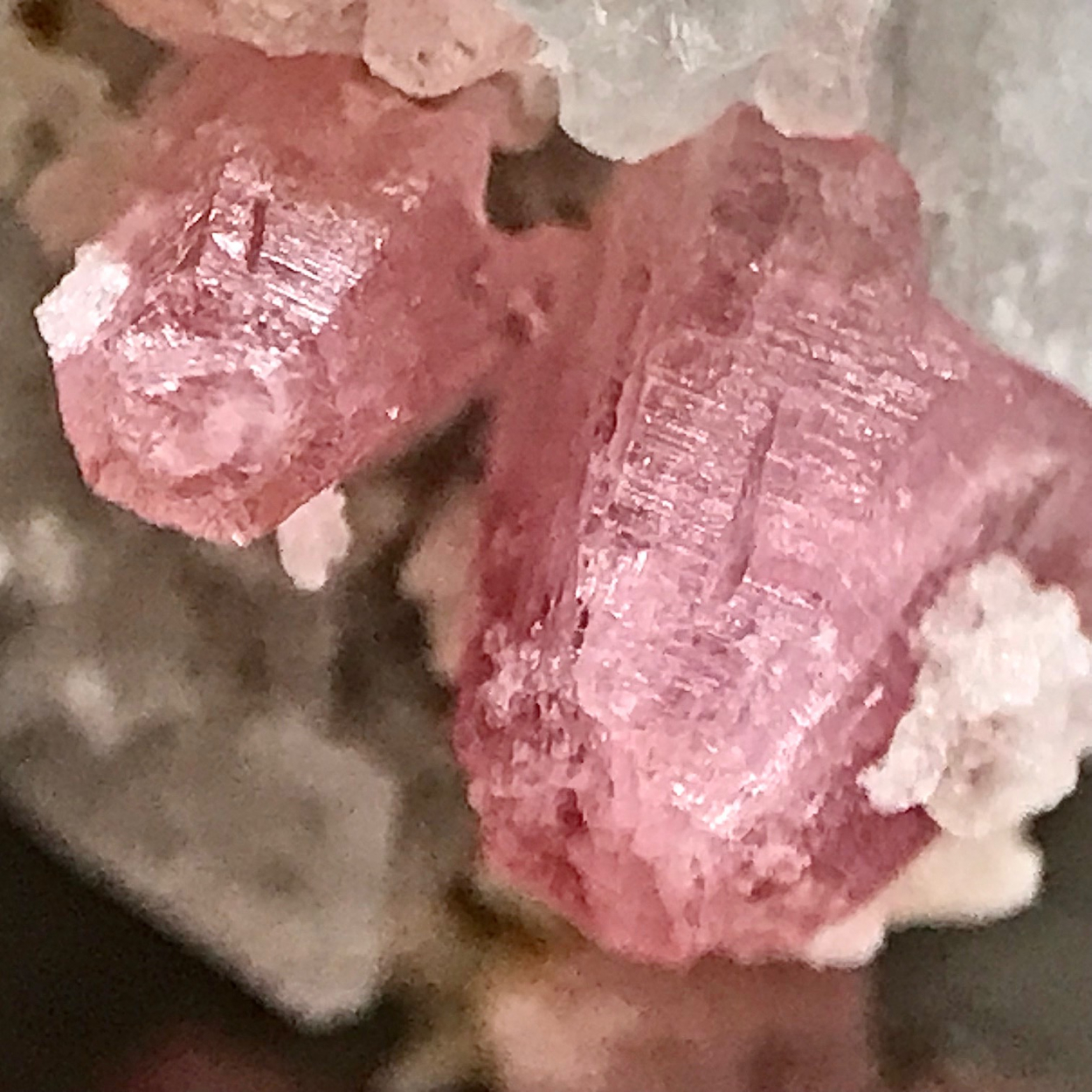 Pezzottaite