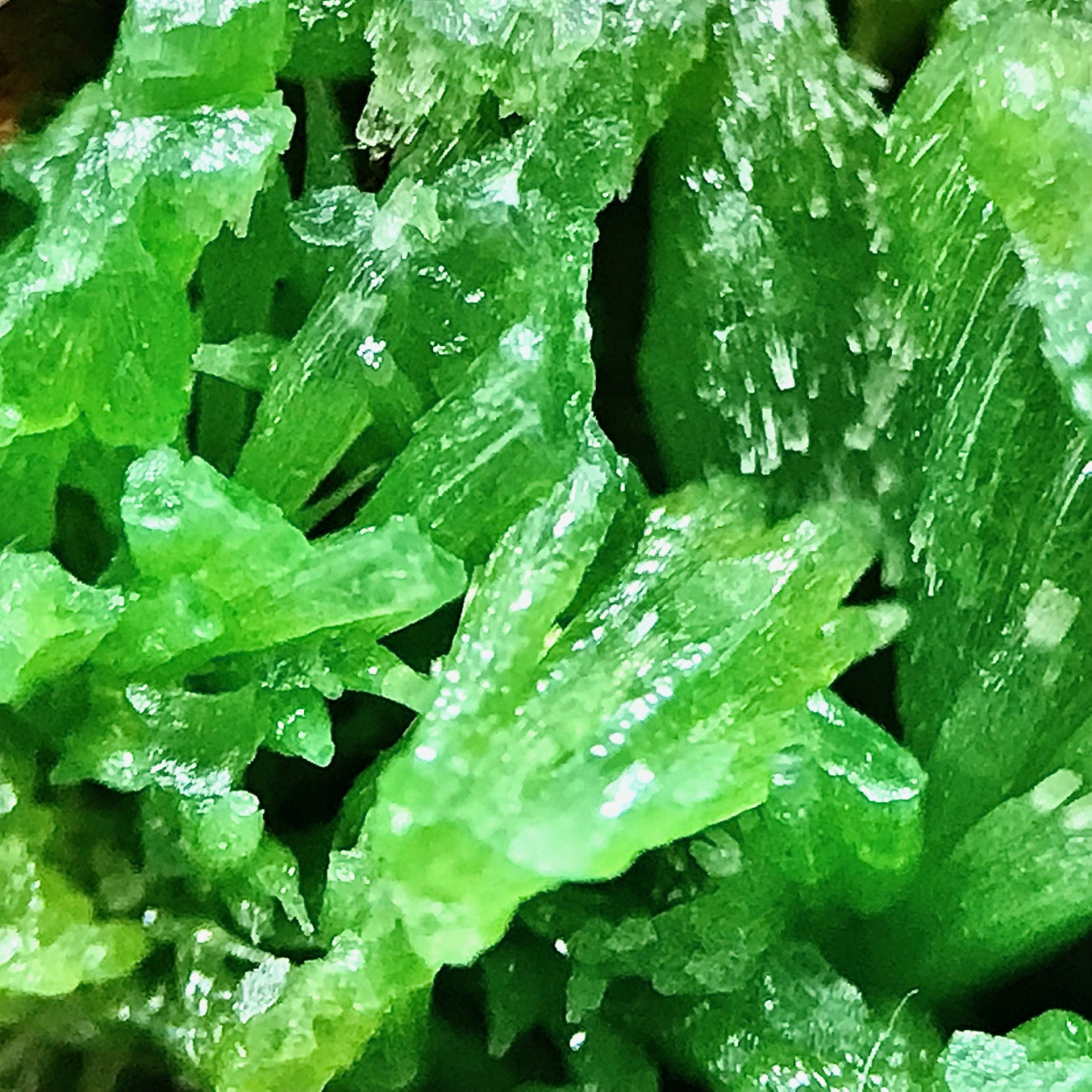 Pyromorphite