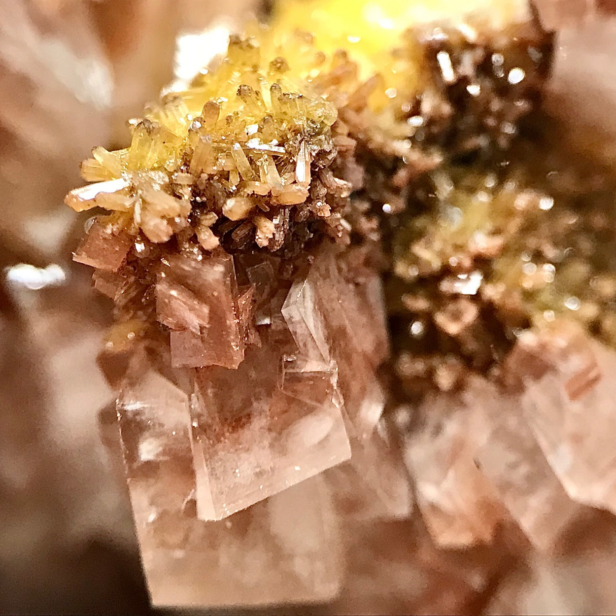 Mimetite