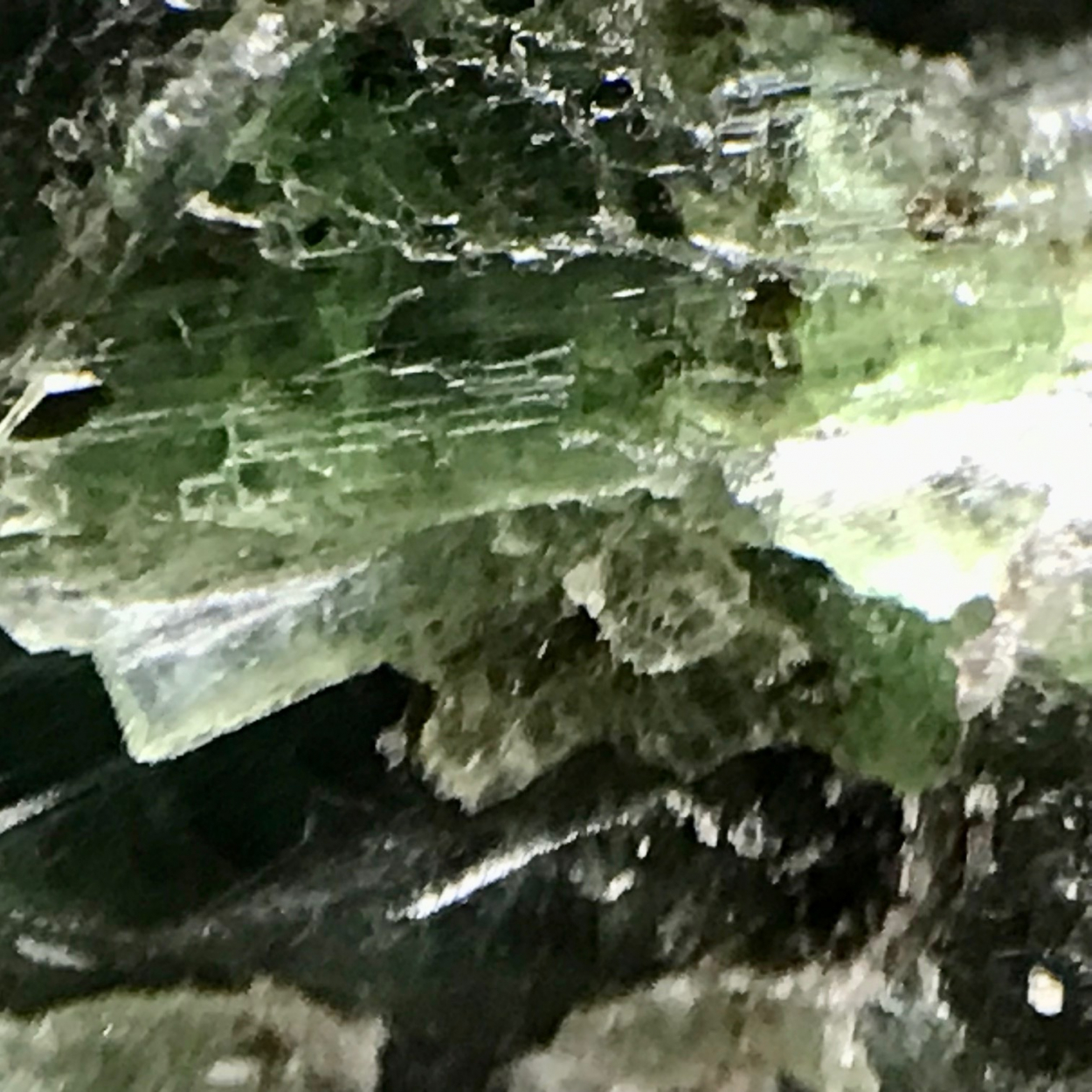 Actinolite