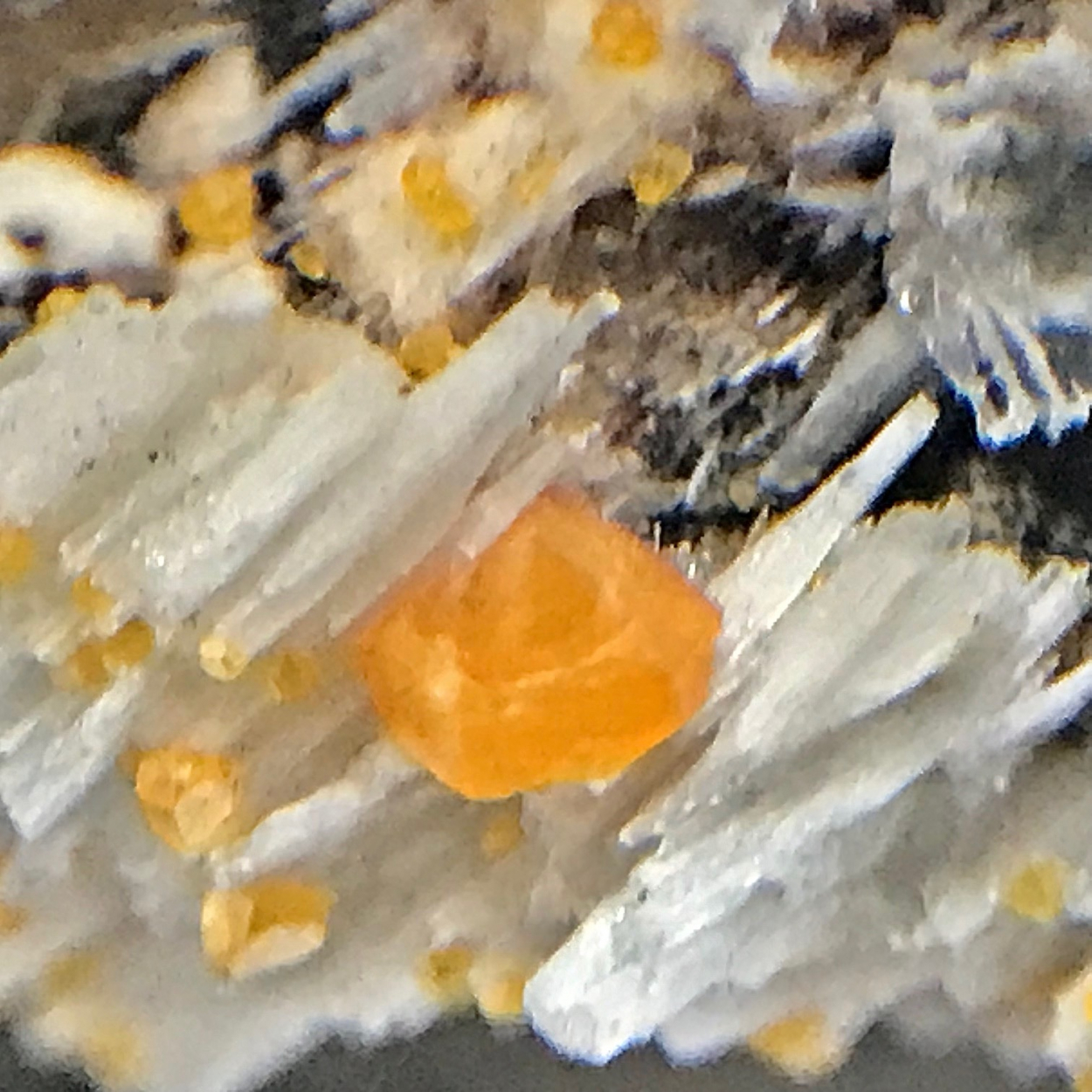 Wulfenite