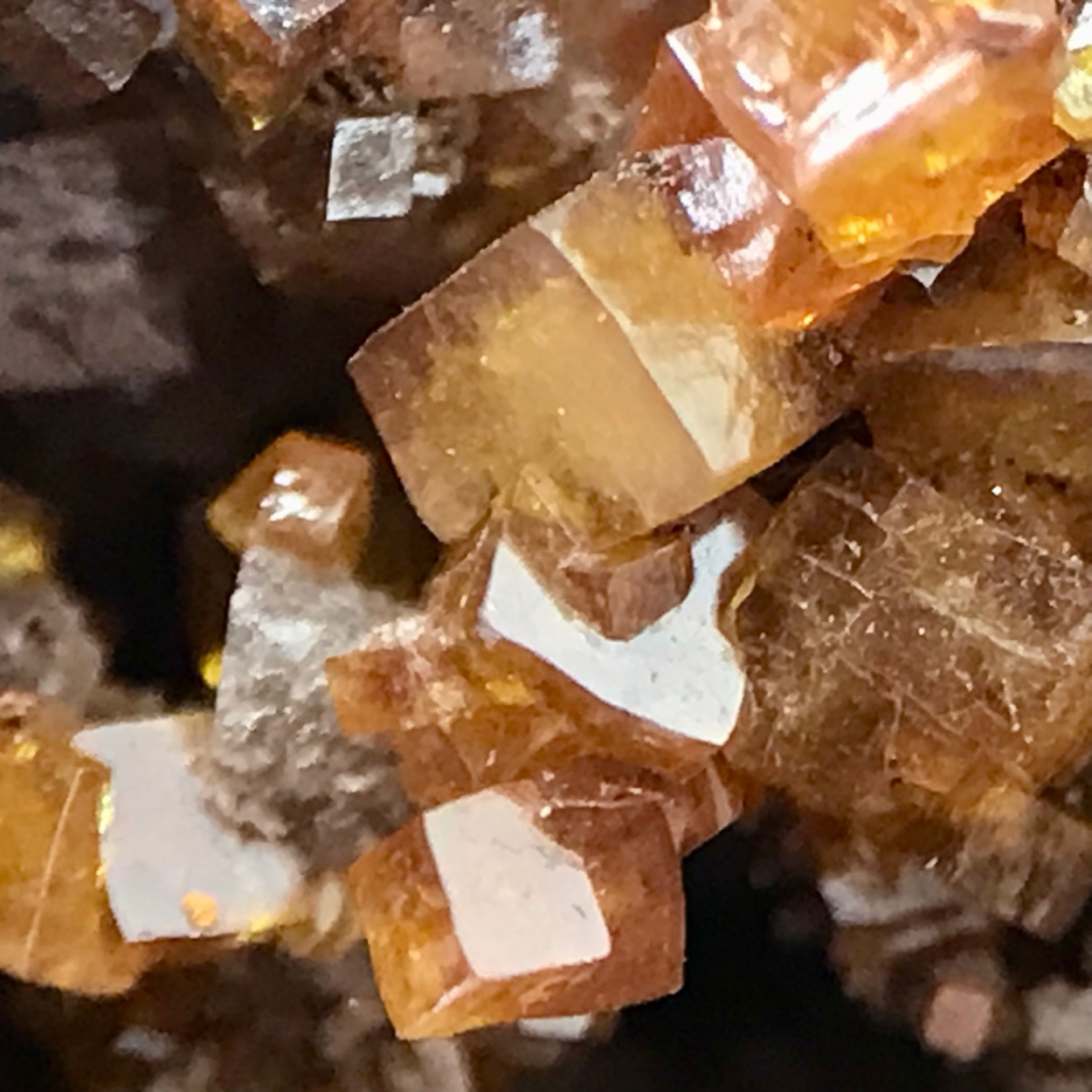 Wulfenite