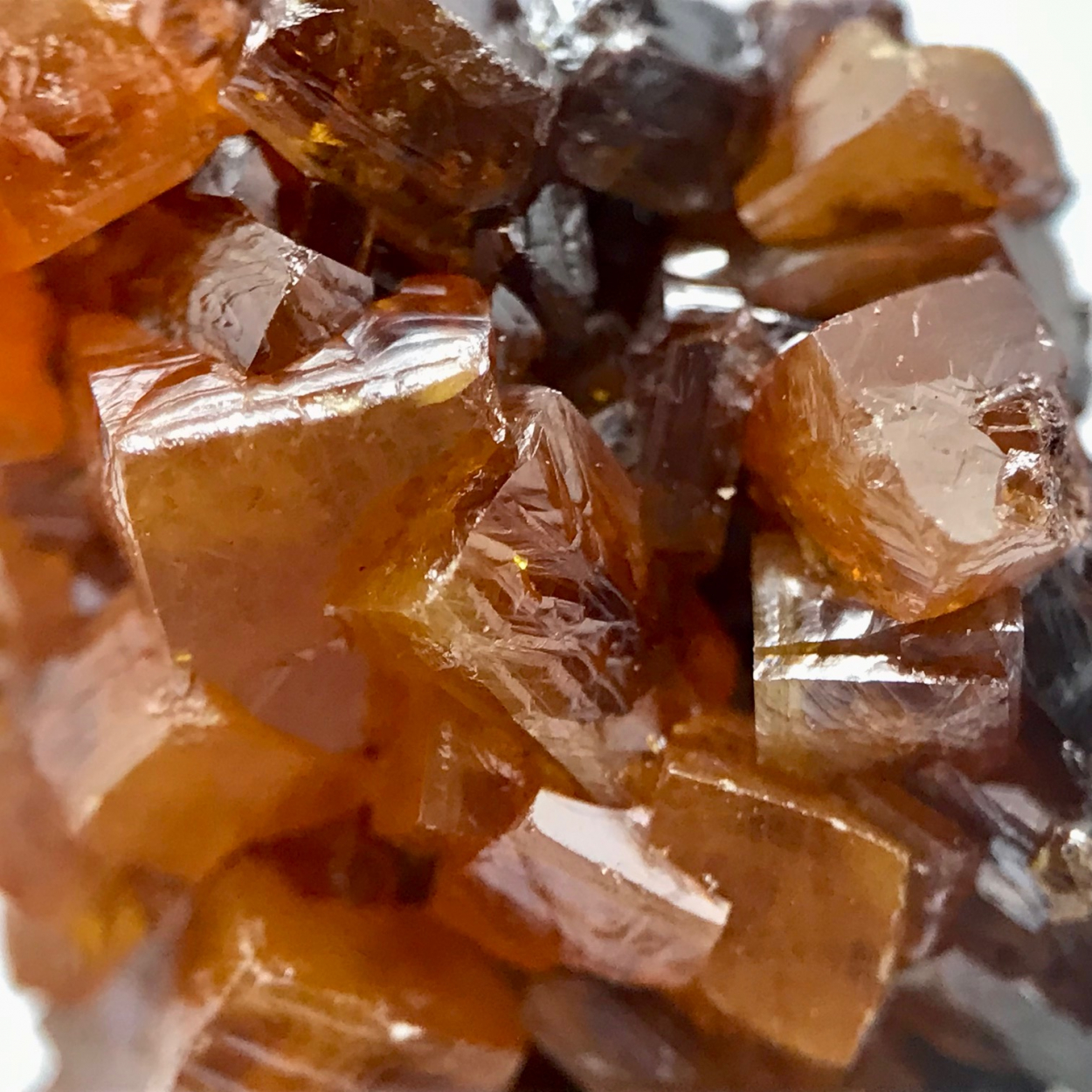 Wulfenite