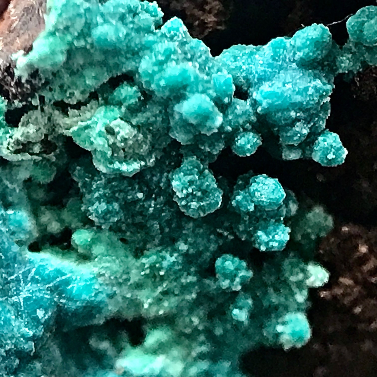 Rosasite