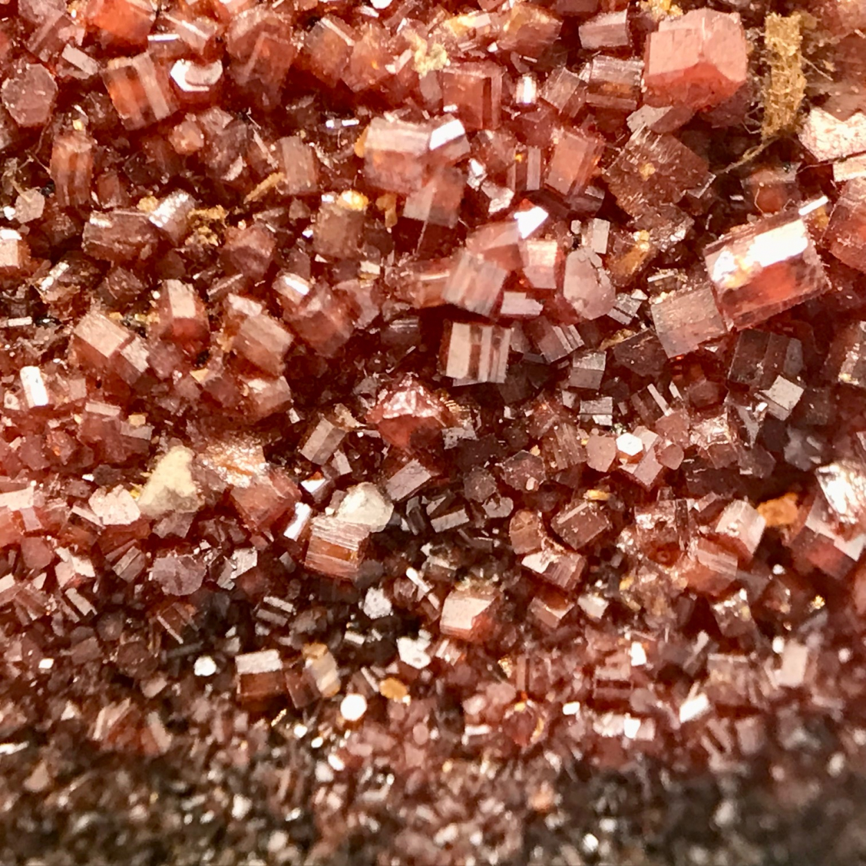 Vanadinite