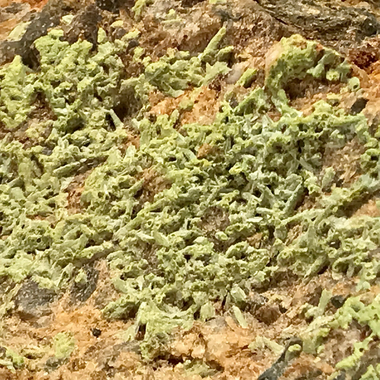 Pyromorphite