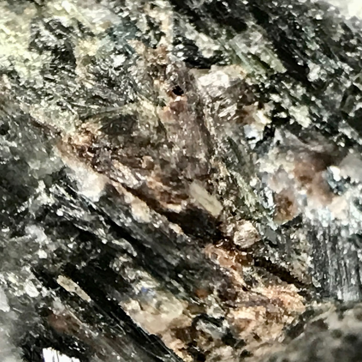 Fluoro-leakeite