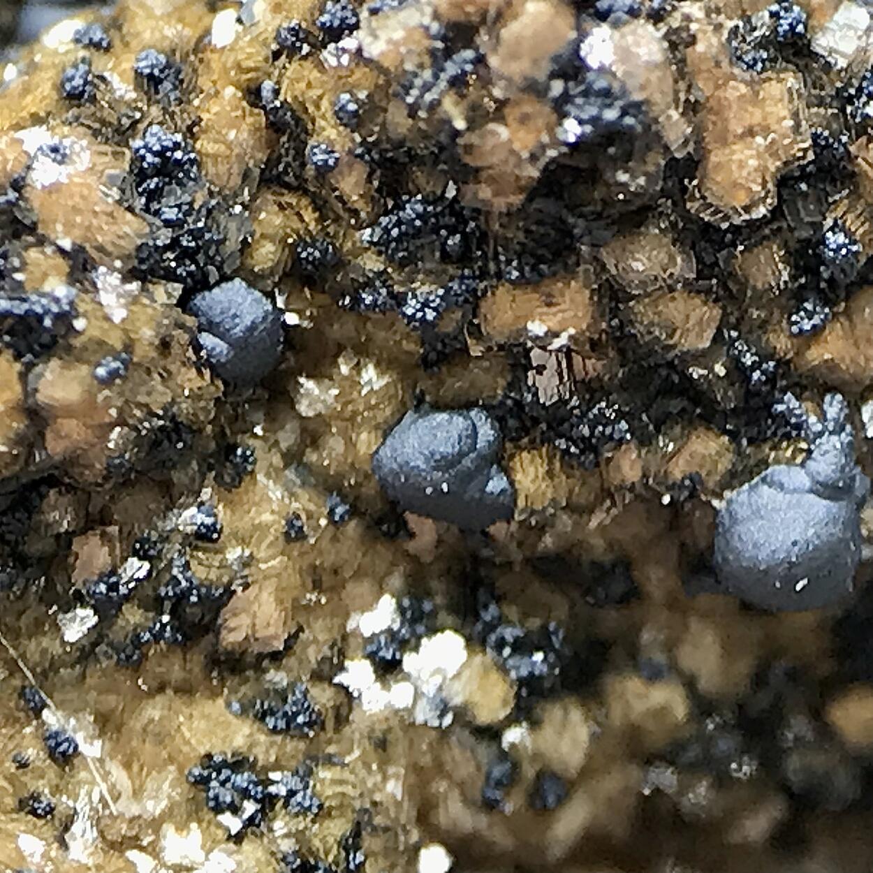 Hydrohetaerolite