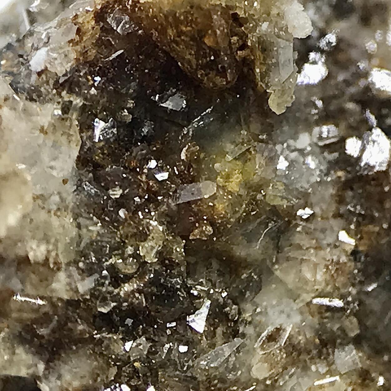 Caracolite