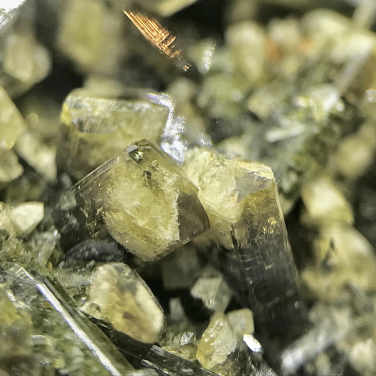 Epidote