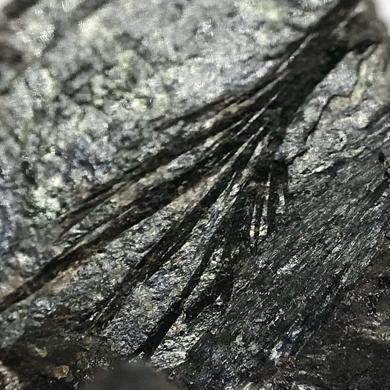 Sekaninaite