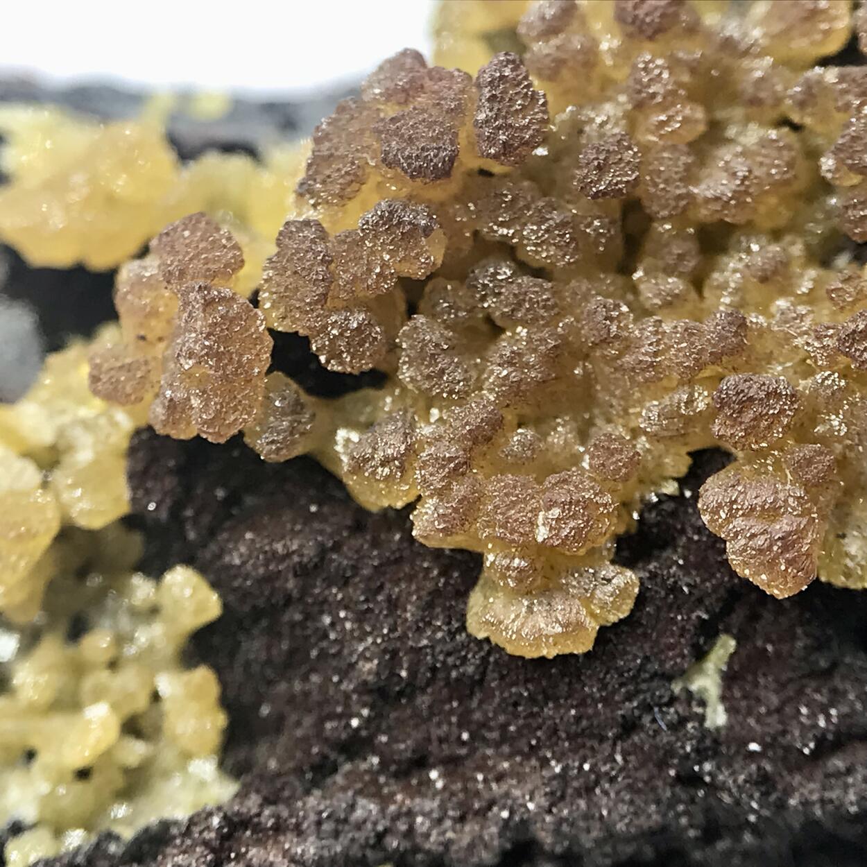 Mimetite