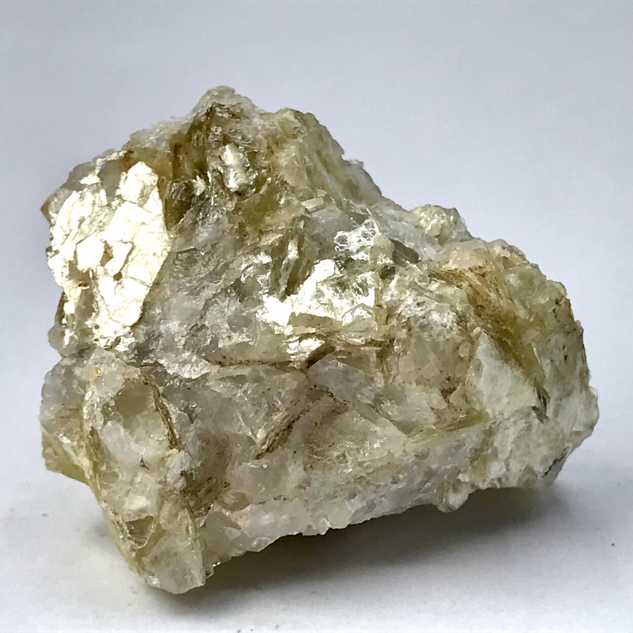 Muscovite