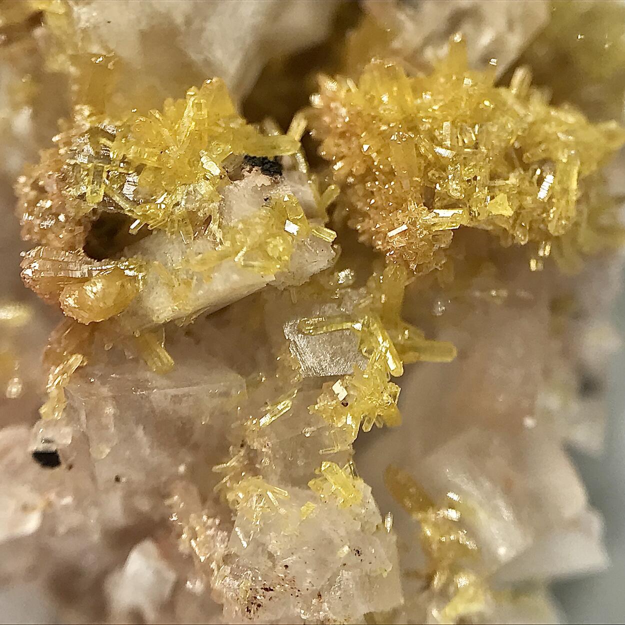 Mimetite