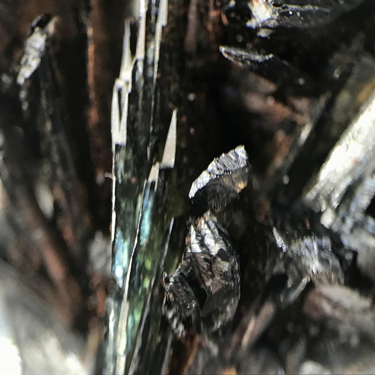 Vivianite