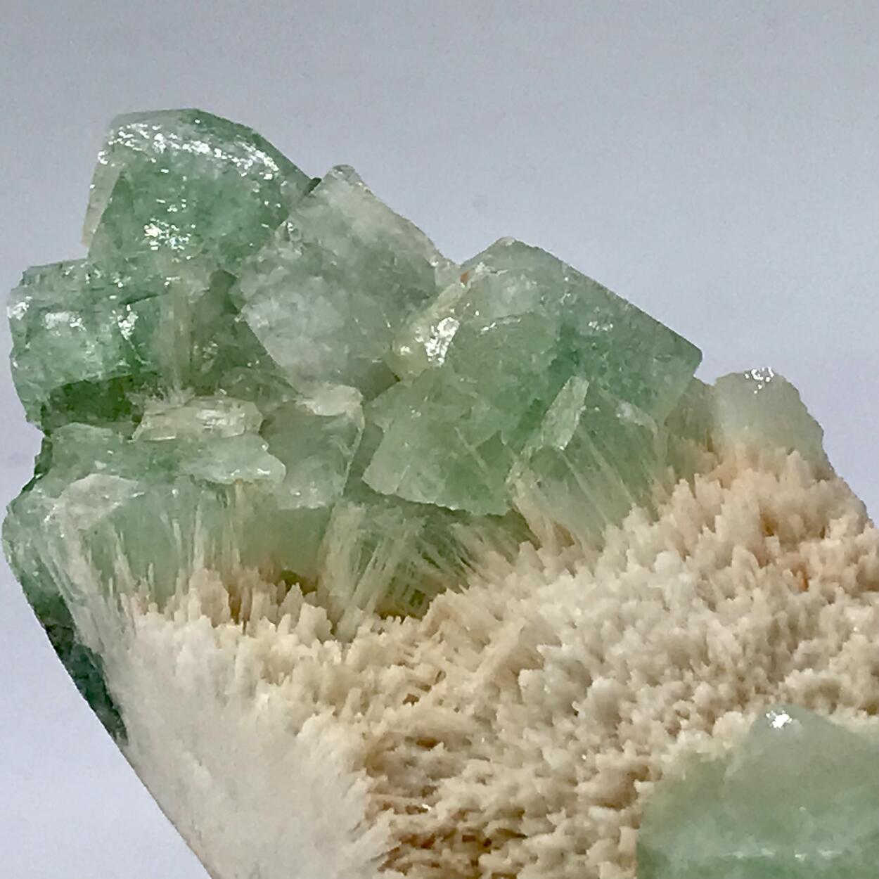 Fluorapophyllite