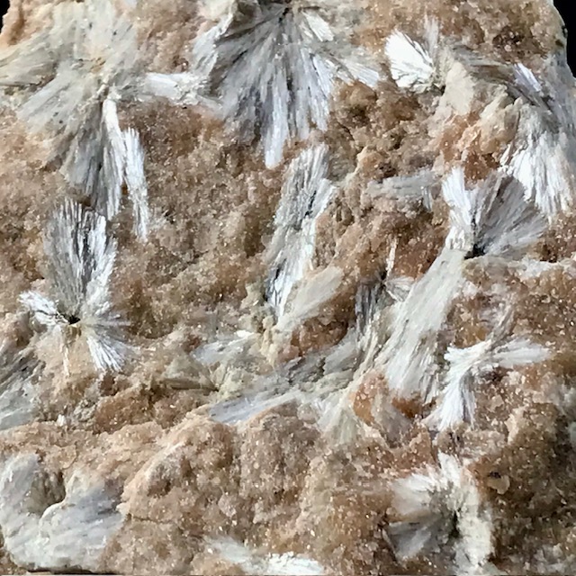 Scolecite