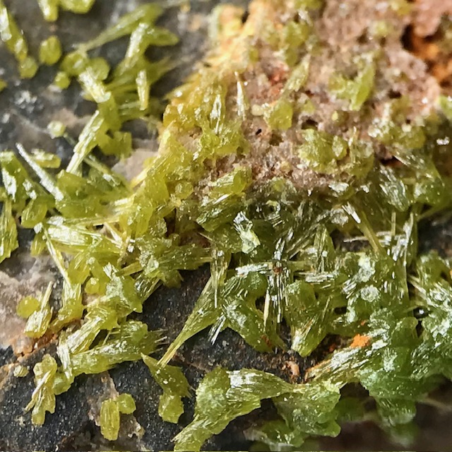 Pyromorphite