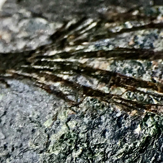 Sekaninaite
