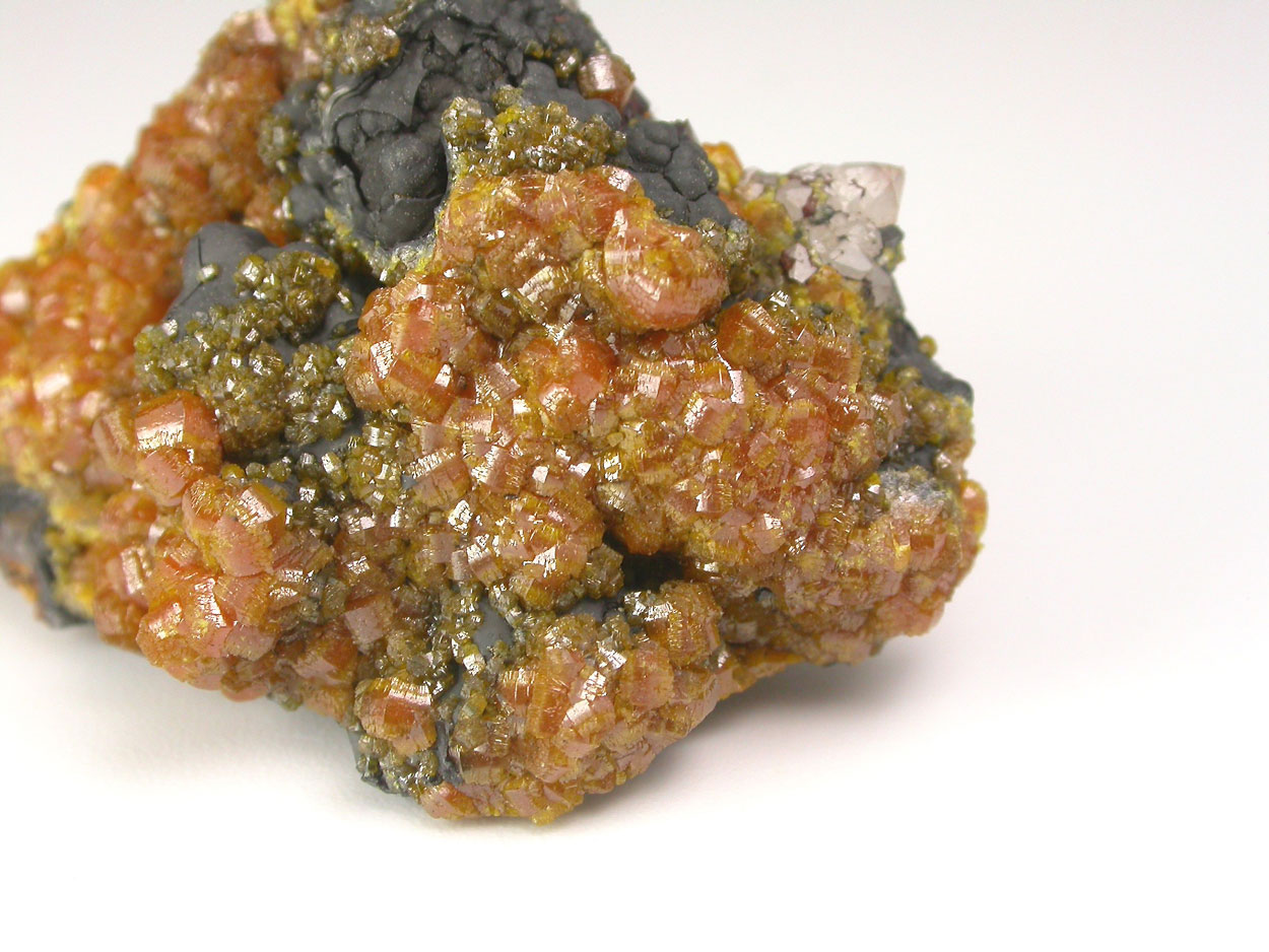 Campylite