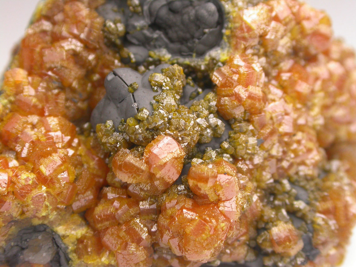 Campylite