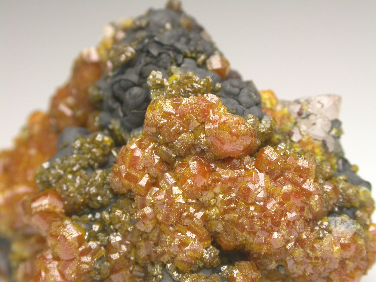 Campylite