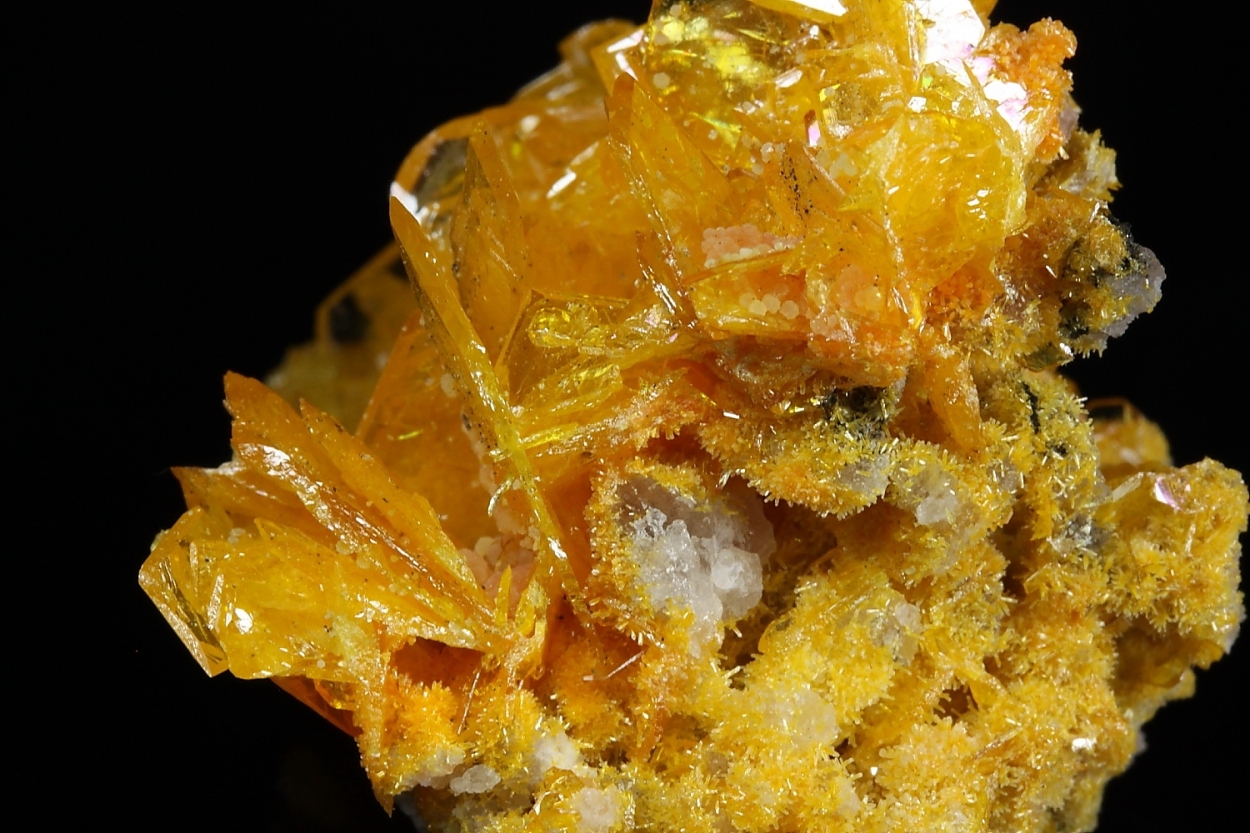 Wulfenite