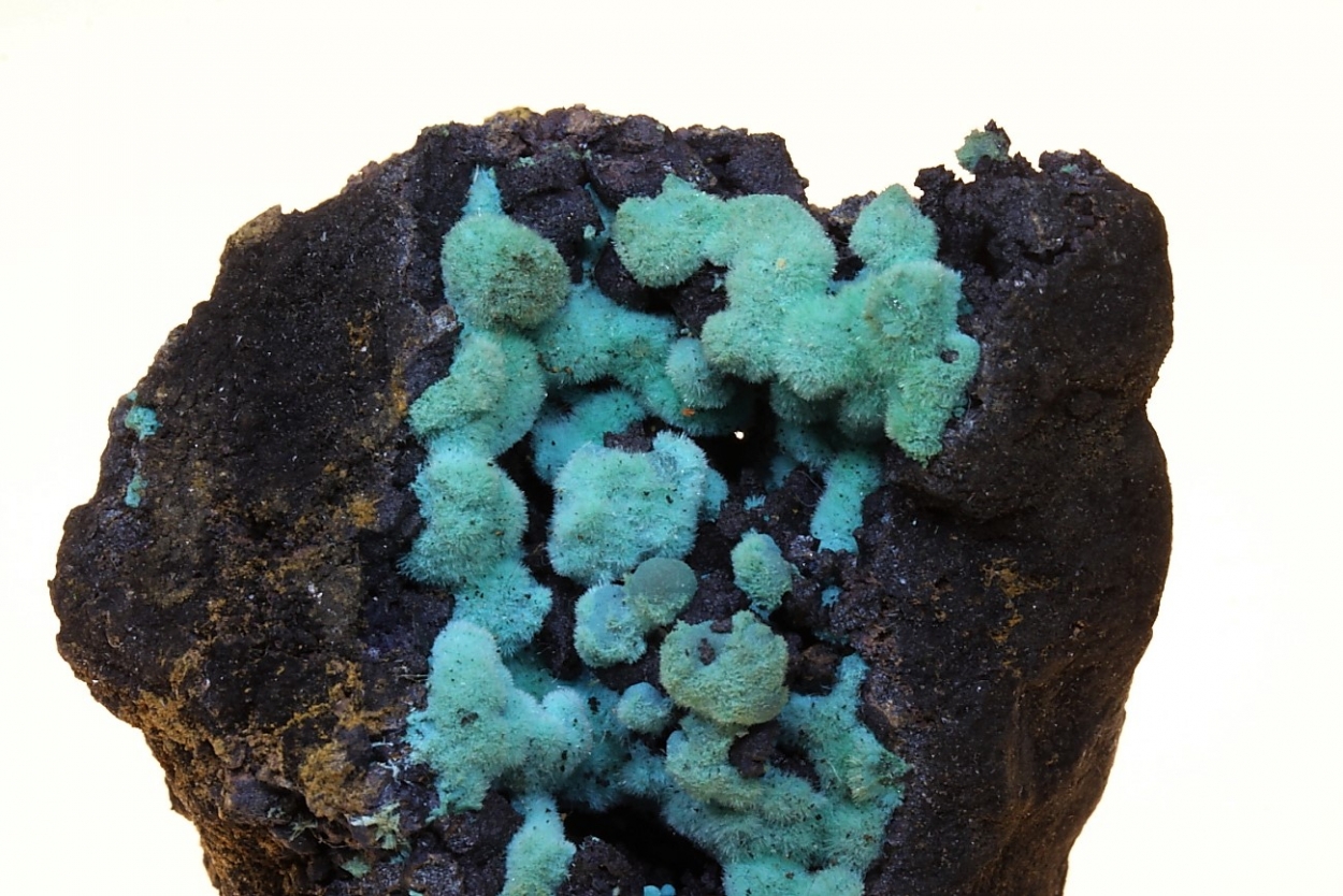 Chrysocolla Psm Malachite