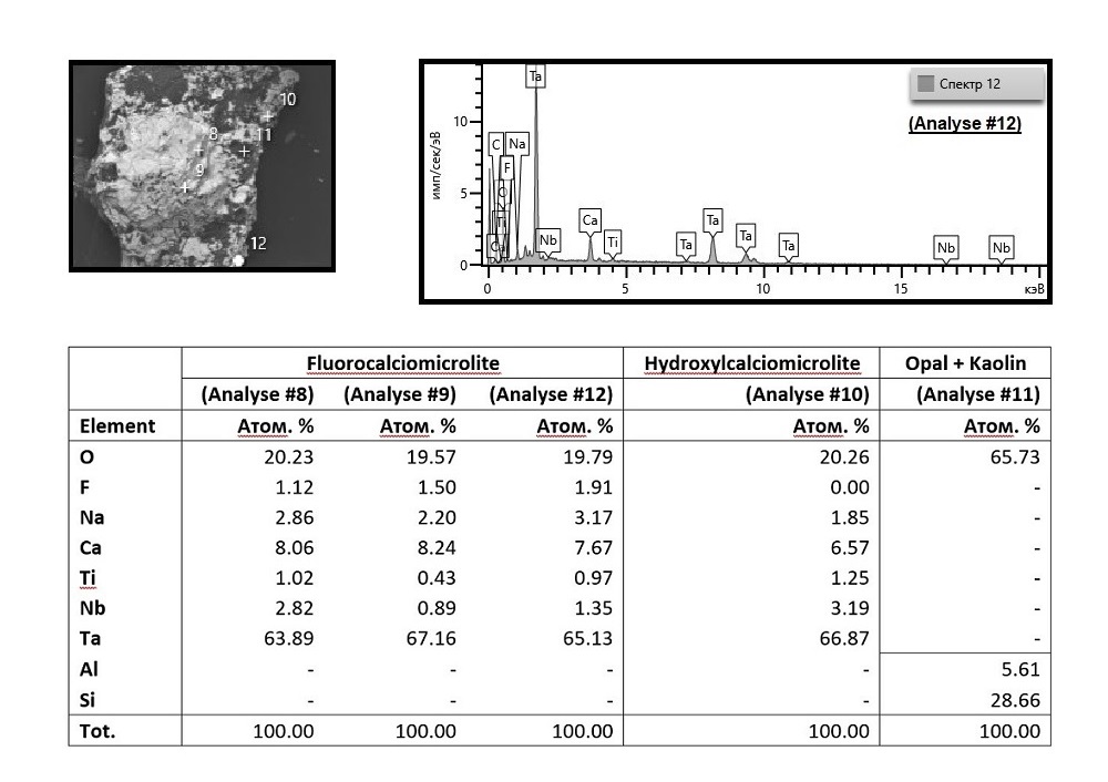 Fluorcalciomicrolite With Hydroxycalciomicrolite