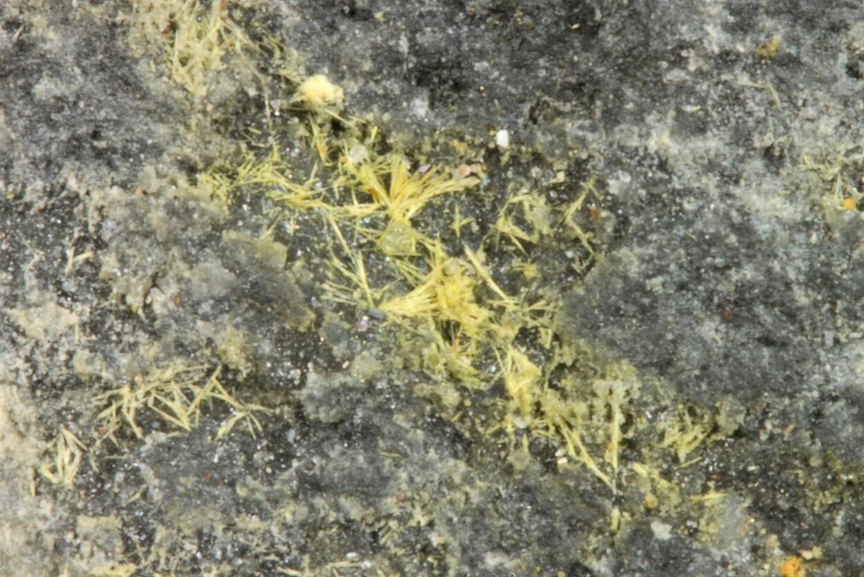 Cervantite