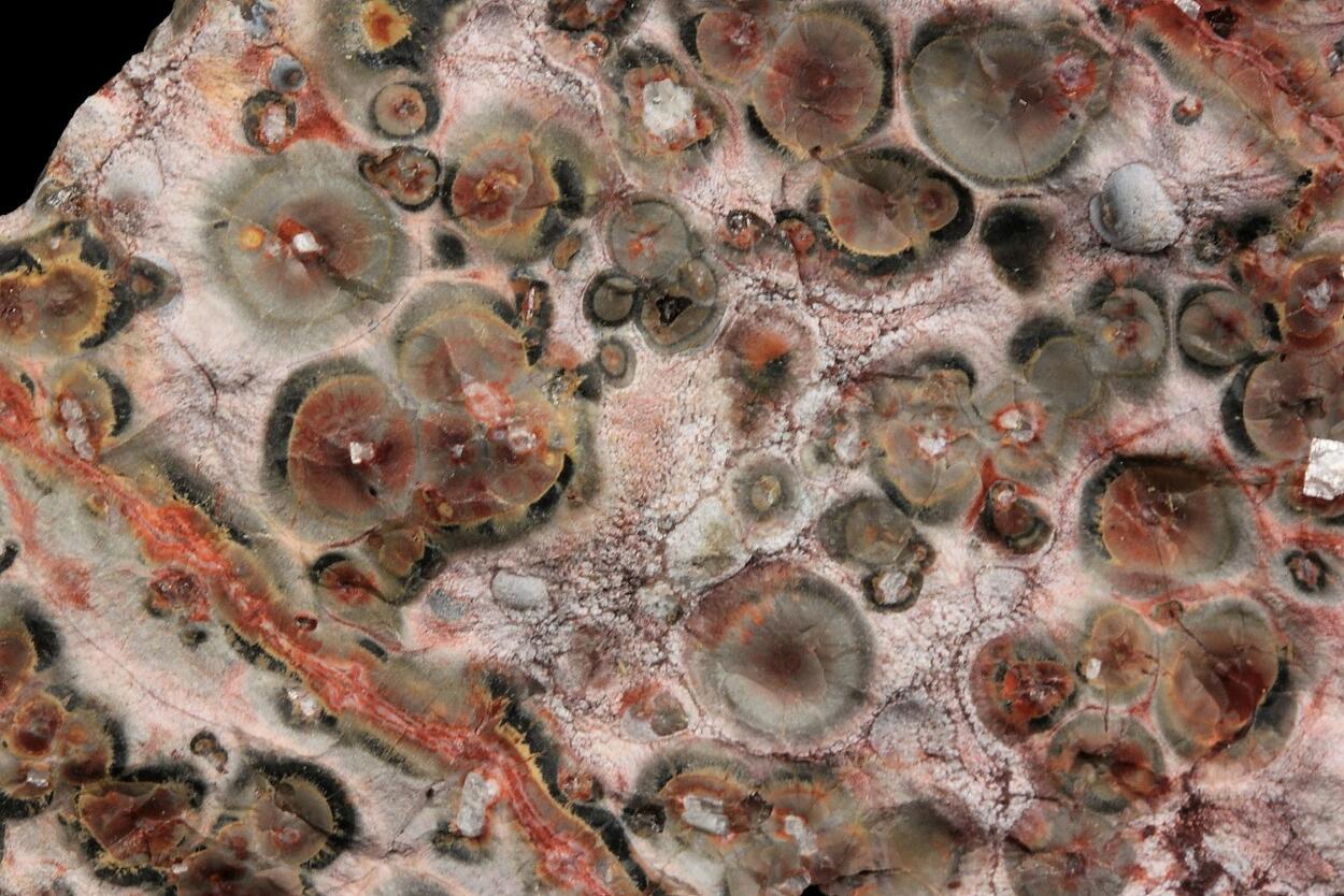 Leopard Skin Jasper