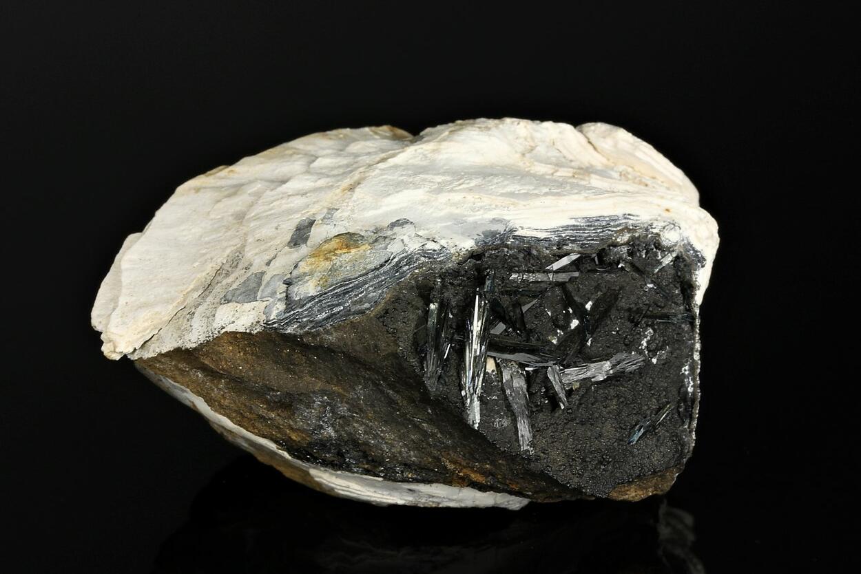 Vivianite With Fossil