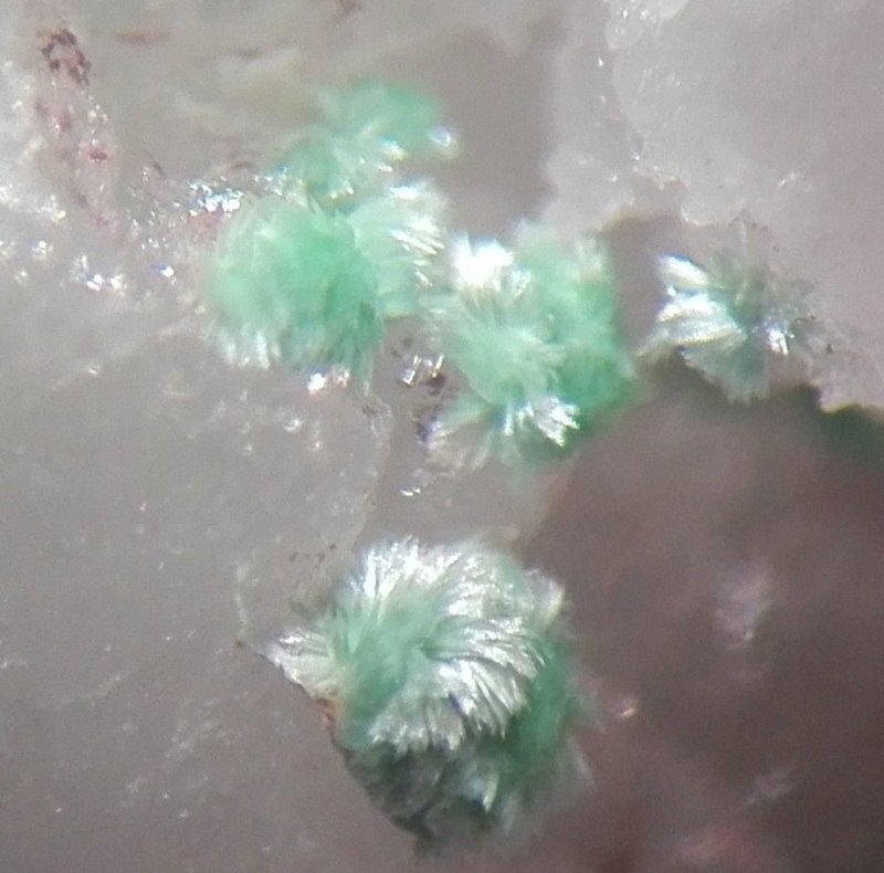 Ajoite & Shattuckite