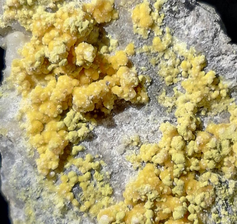 Sideronatrite