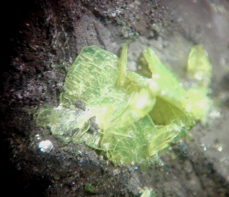 Autunite