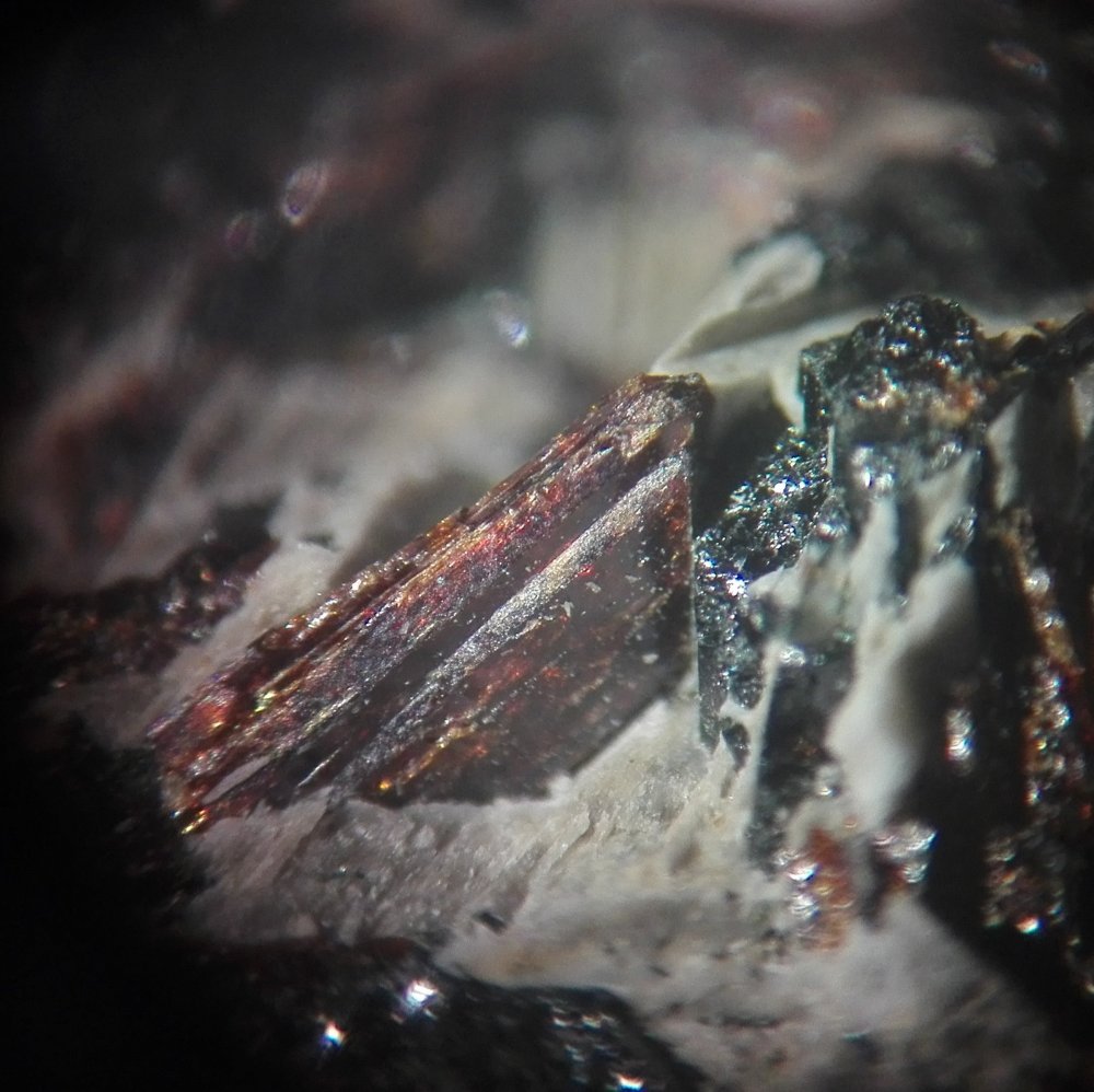 Betalomonosovite